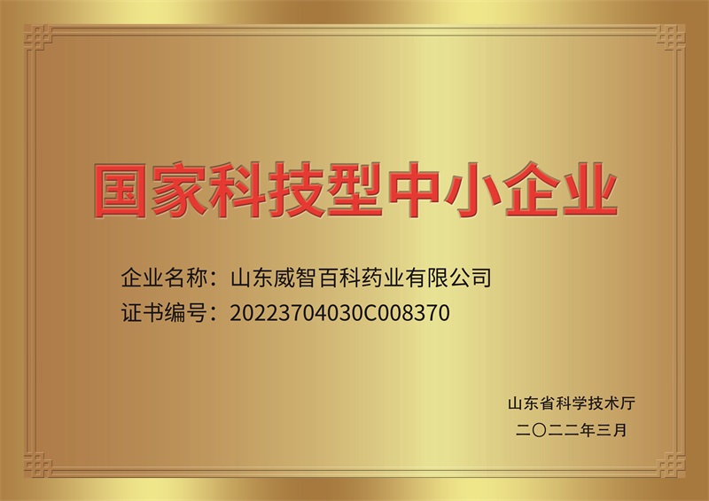 2022国家级-国家科技型中小企业（4）.jpg