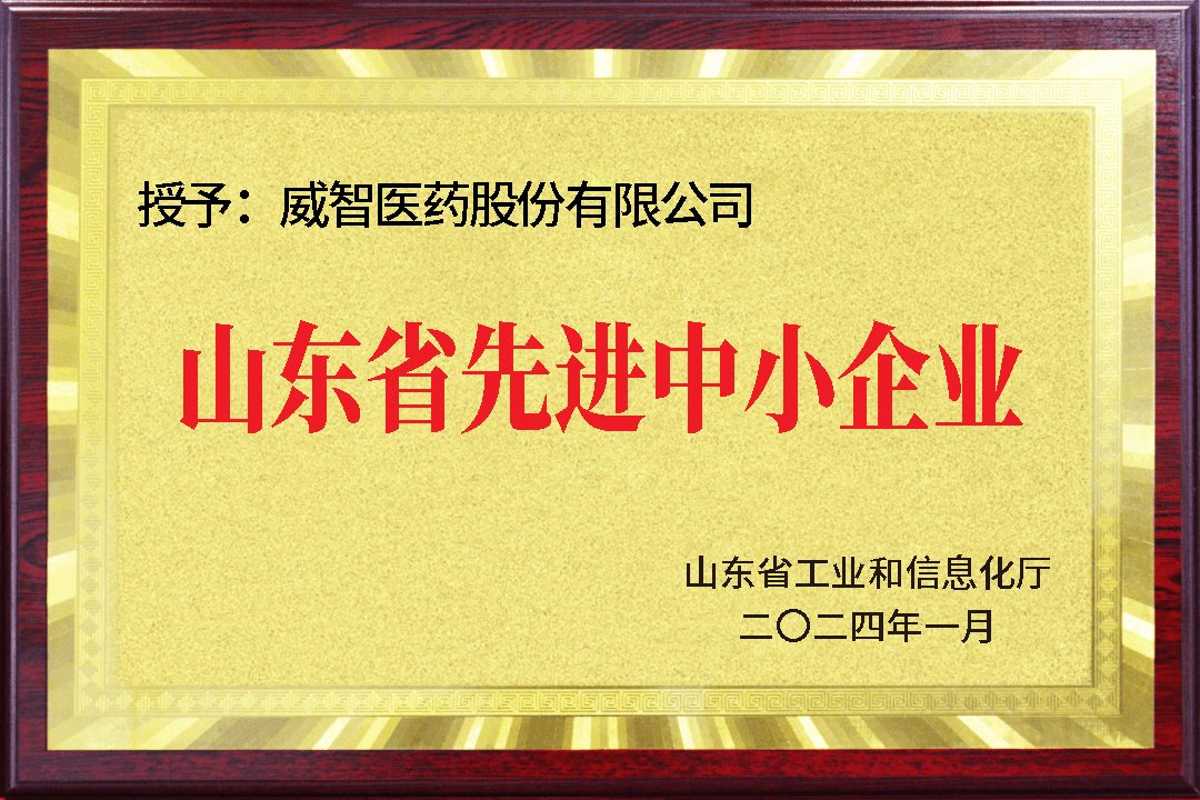 2024年山东省先进中小企业（1）.jpg