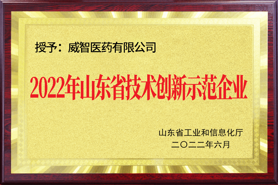 2022年山东省技术创新示范企业