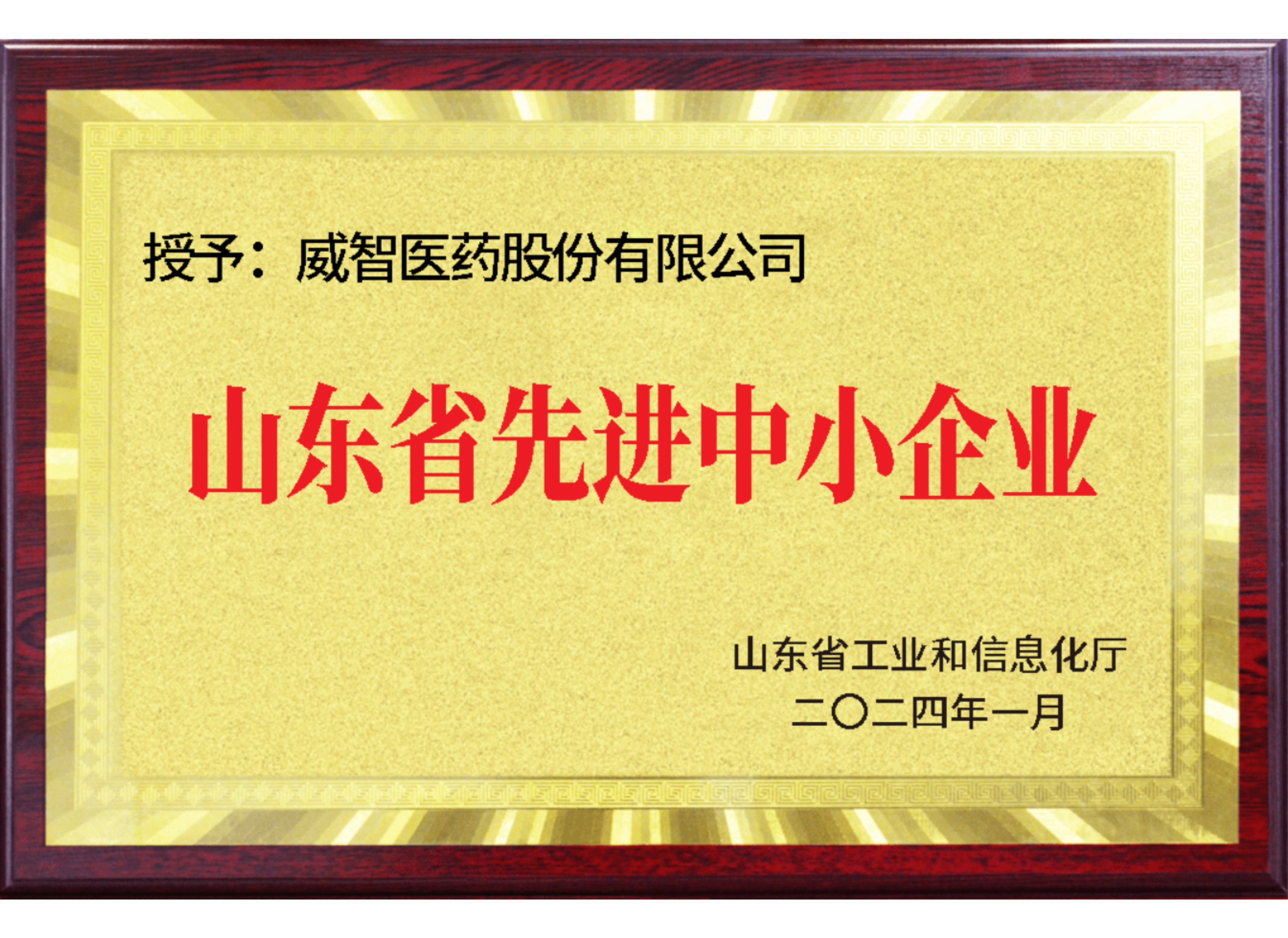 2024年山东省先进中小企业