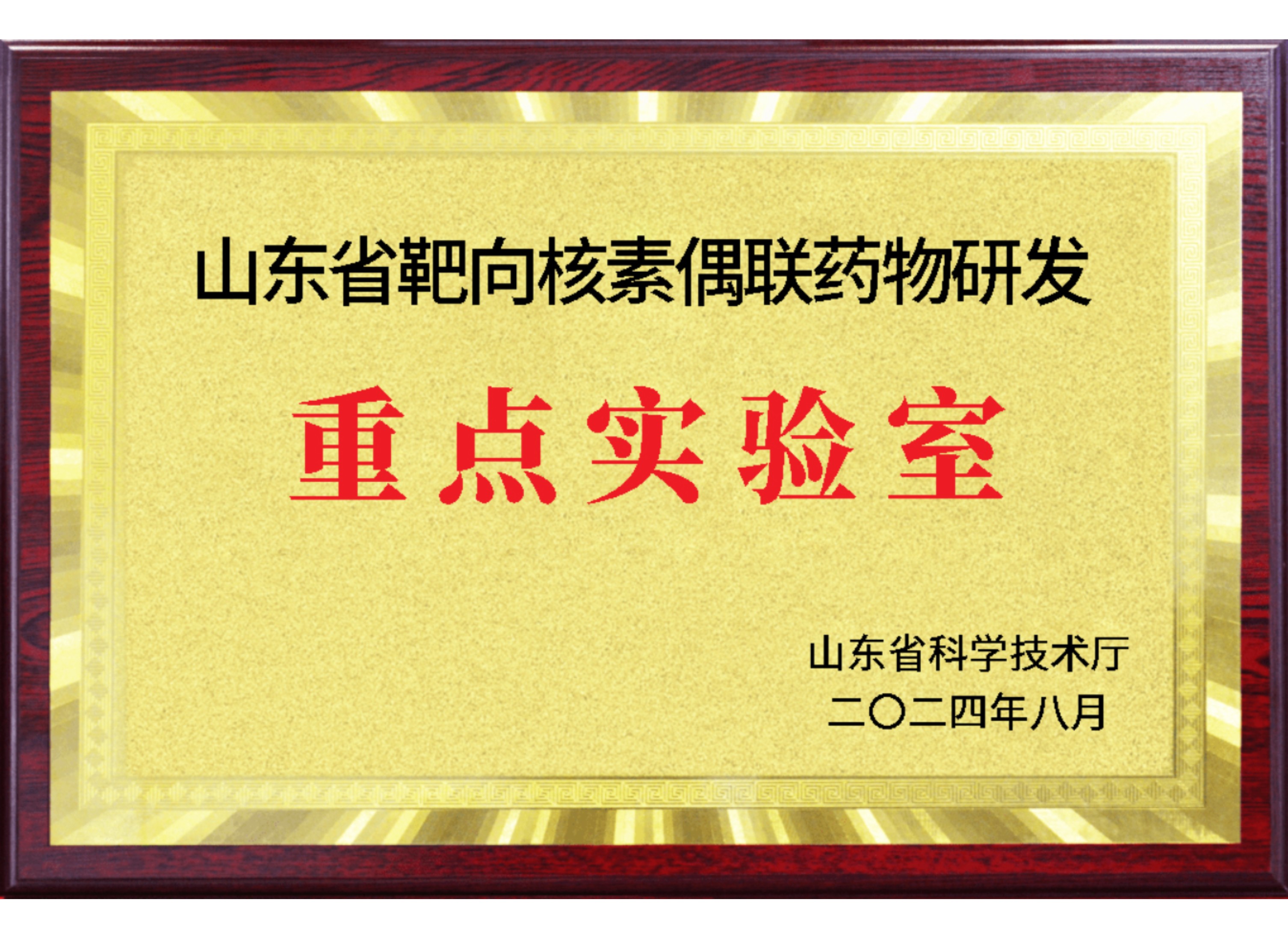 2024年山东省重点实验室
